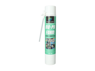 Mo-Po Foam (Moped Power Foam) Future2Green 750ml